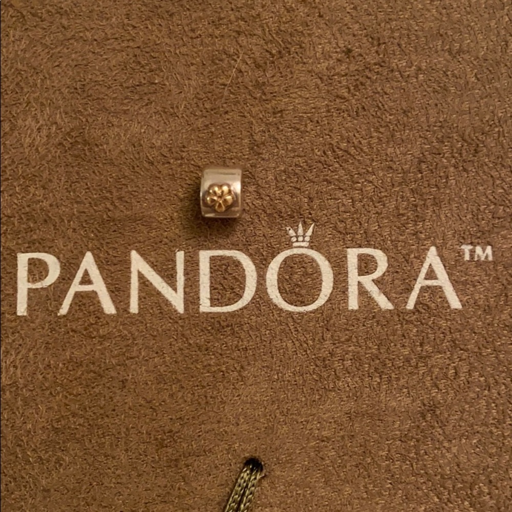 PANDORA Sterling Silver Clip Charm